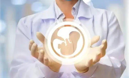 Buhayên Neqla Hêkê Qibrîs 2025